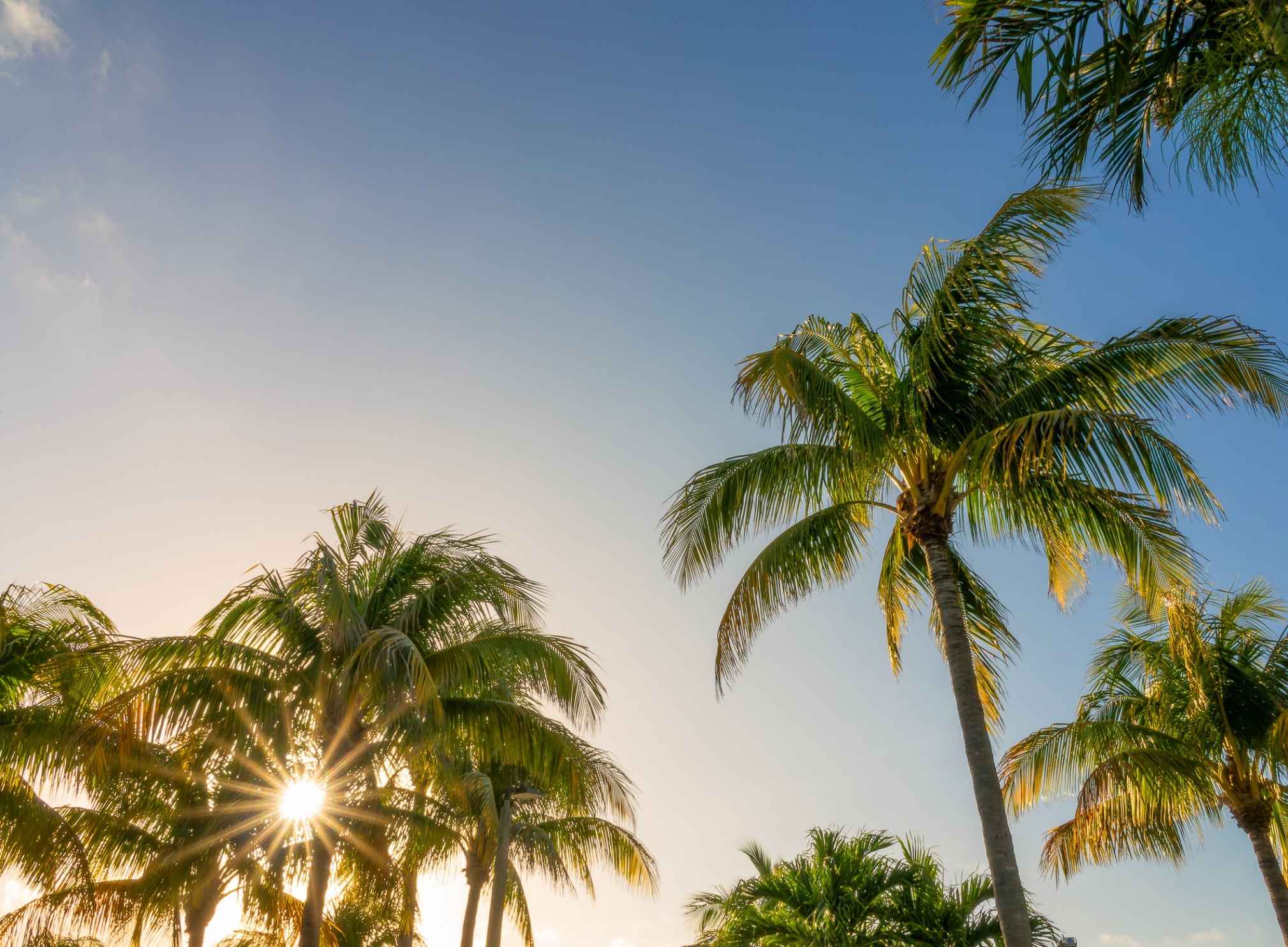 Top Reasons to Stay at Reunion Resort + Private Airport Transfers Featured Photo