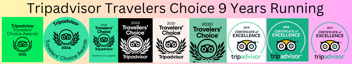 TripAdvisor Travelers Choice Winner